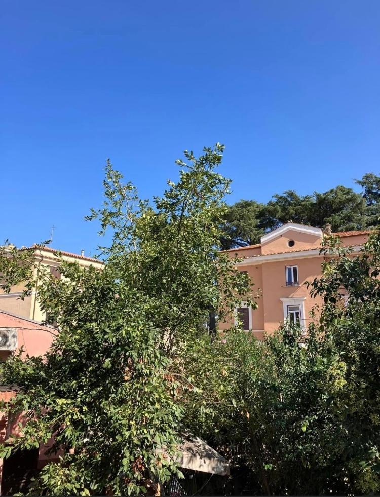 Casa Di Vivi, Comoda Per Il Centro, Il Vaticano Ed Il Gemelli Ρώμη Εξωτερικό φωτογραφία